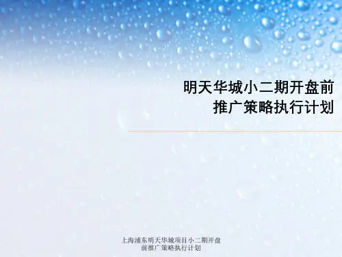 上海浦东明天华城项目小二期开盘前推广策略执行计划