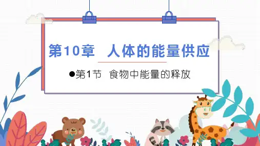 第四单元第十章第一节食物中能量的释放课件  北师大版生物七年级下册