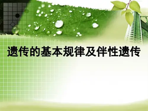 五、遗传的基本规律及伴性遗传 PPT课件