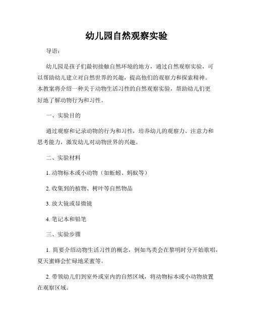 幼儿园自然观察实验