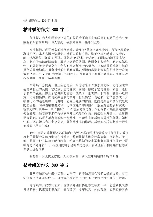 枯叶蝶的作文800字5篇