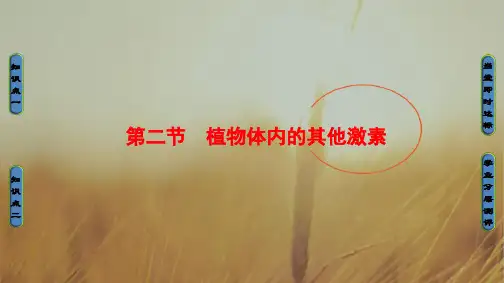 2018学年高中生物中图版必修三课件：第1单元-第1章-第2节