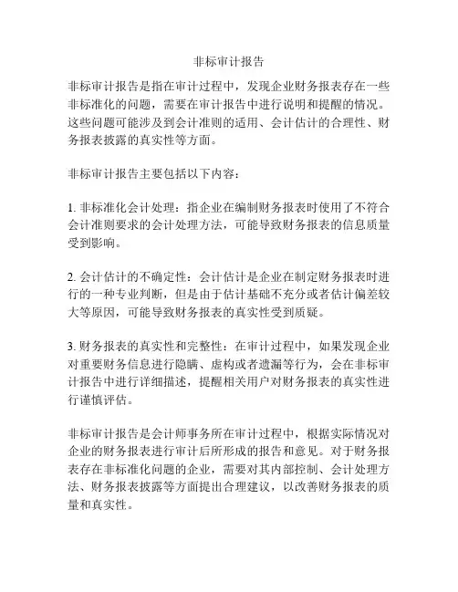 非标审计报告