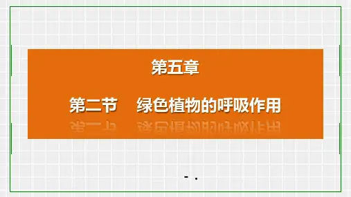 《绿色植物的呼吸作用》PPT课件