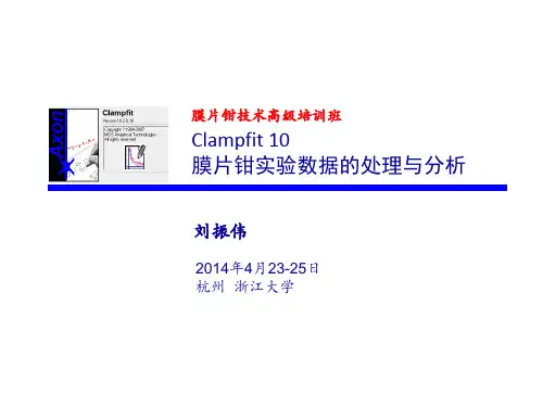 浙江大学-刘振伟教授高级培训班-膜片钳技术数据处理与分析.ppt