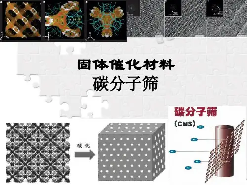 催化碳材料：碳分子筛
