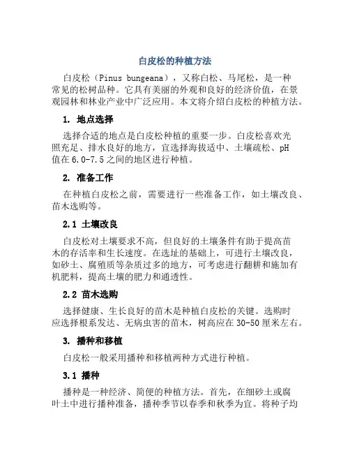 白皮松的种植方法