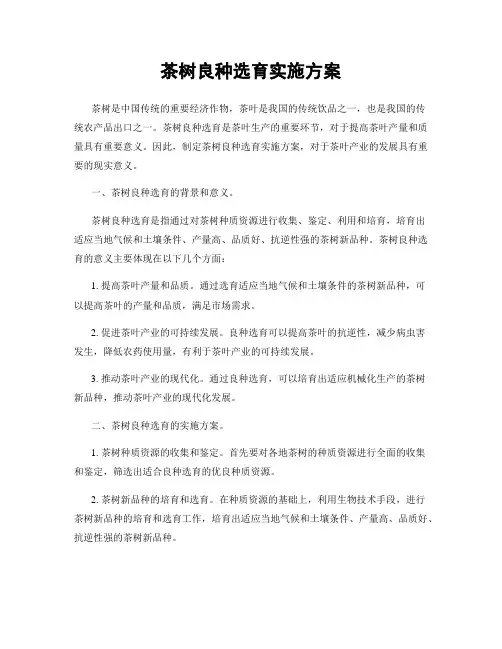 茶树良种选育实施方案