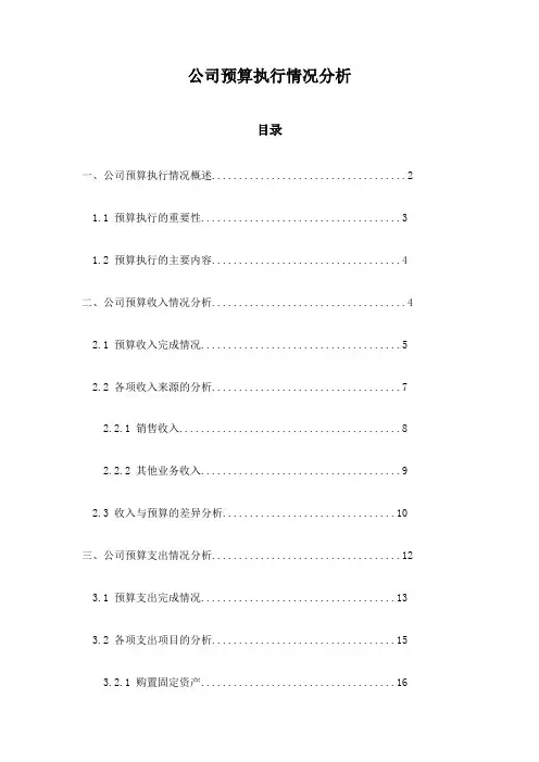 公司预算执行情况分析