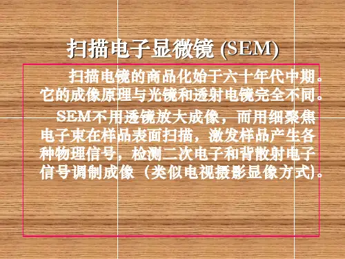 材料现代微观分析技术第6章 扫描电子显微镜