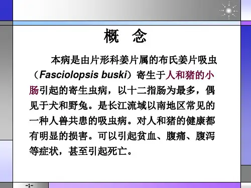 姜片吸虫病