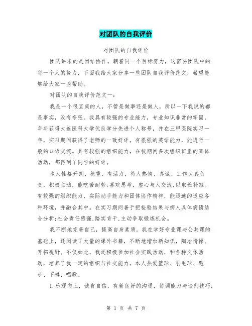 对团队的自我评价