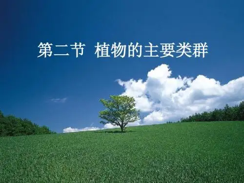 第一节 植物的主要类群
