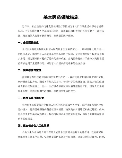 基本医药保障措施