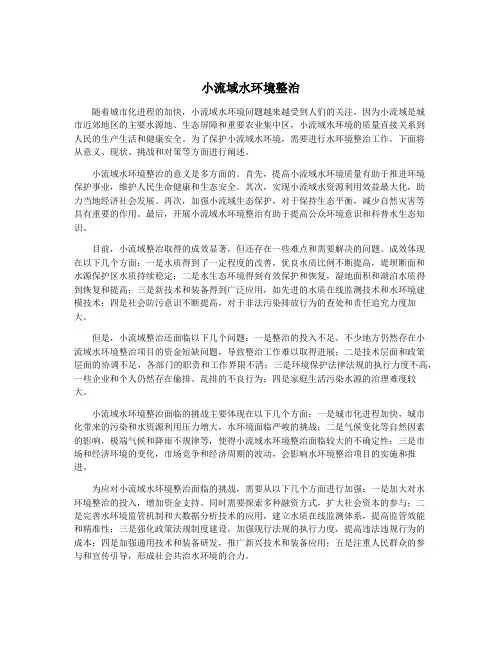 小流域水环境整治