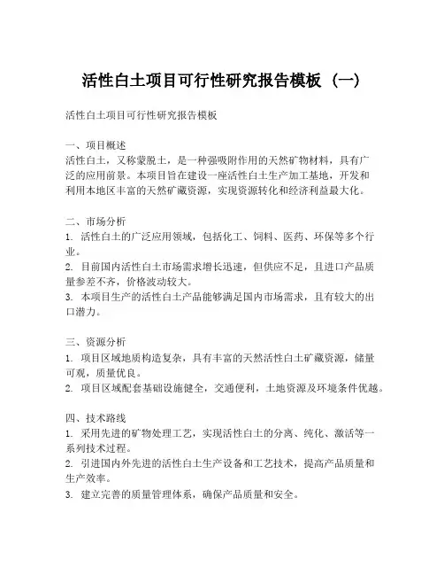 活性白土项目可行性研究报告模板 (一)
