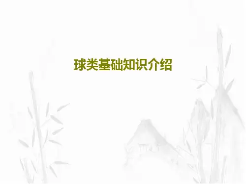 球类基础知识介绍21页PPT