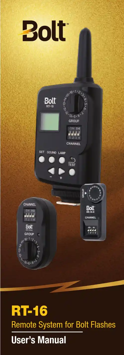 RT-16远程系统用户手册说明书