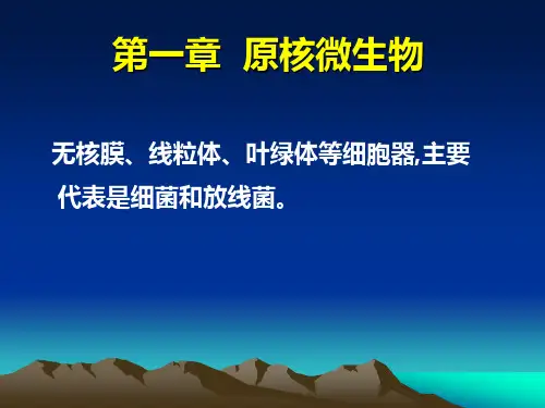 第一章-原核微生物-PPT课件