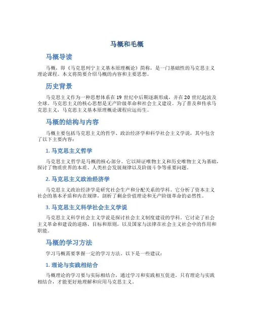 马概和毛概