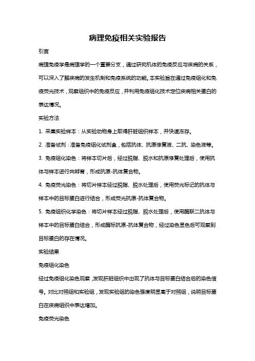 病理免疫相关实验报告