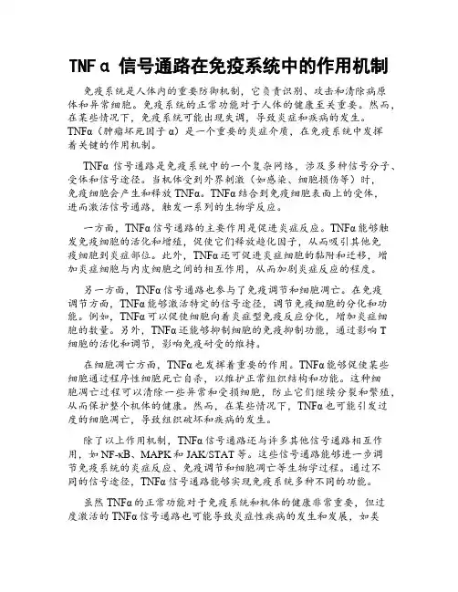 TNFα信号通路在免疫系统中的作用机制
