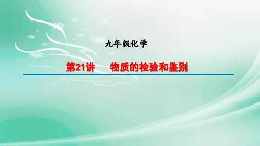 2022年中考化学一轮复习第21讲物质的检验和鉴别