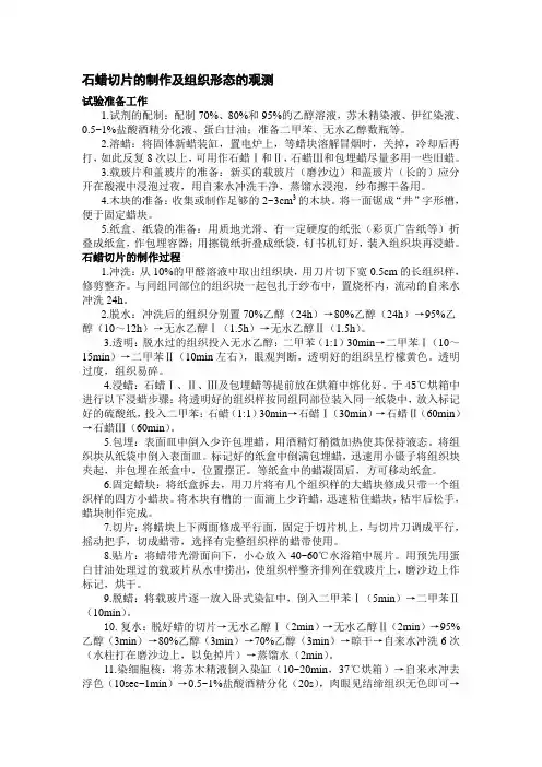 石蜡切片制作
