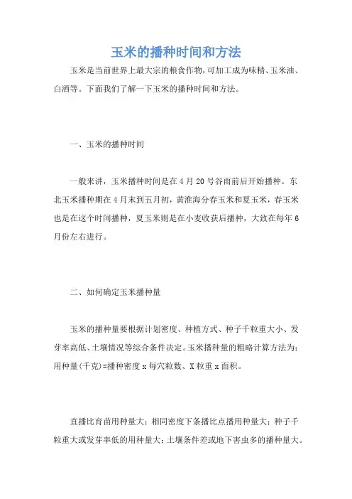 玉米的播种时间和方法