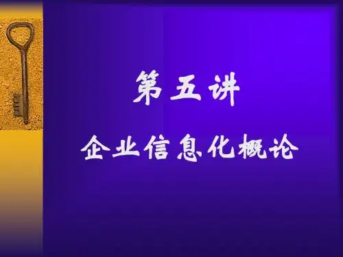 第五讲：企业信息化概论