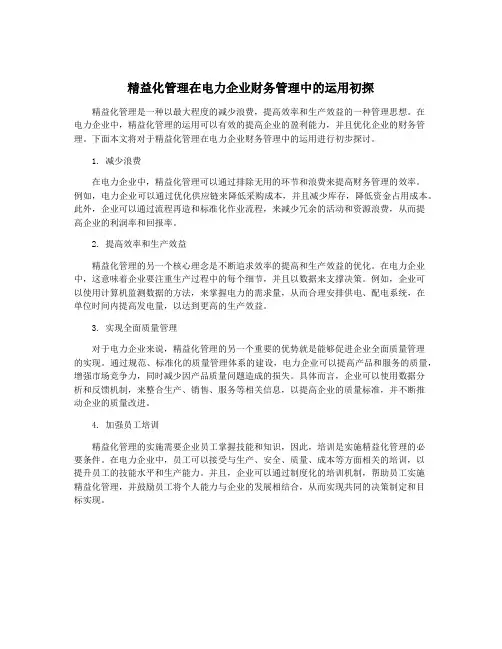 精益化管理在电力企业财务管理中的运用初探