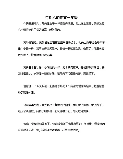 星期六的作文一年级