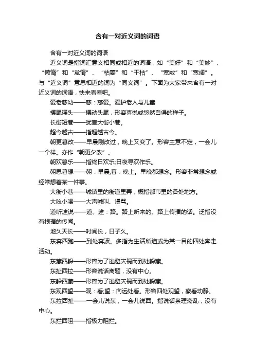 含有一对近义词的词语