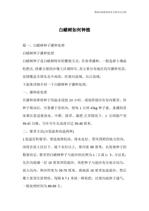白蜡树如何种植