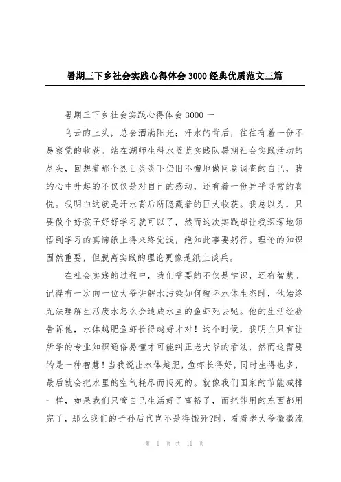 暑期三下乡社会实践心得体会3000经典优质范文三篇
