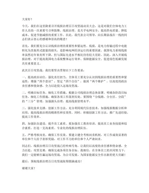 线损治理百日攻坚战领导发言稿