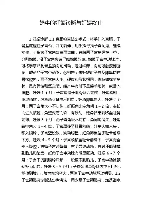 奶牛的妊娠诊断与妊娠终止