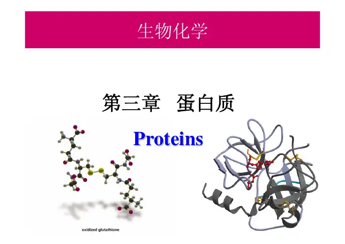 山东大学生物化学精品课程03-2 peptide