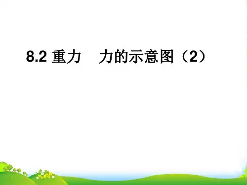 苏科版八年级物理下册：8.2力的示意图(3)课件
