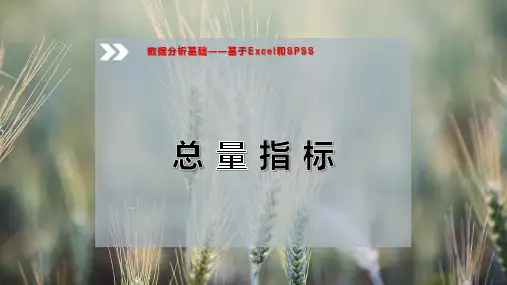 总 量 指 标