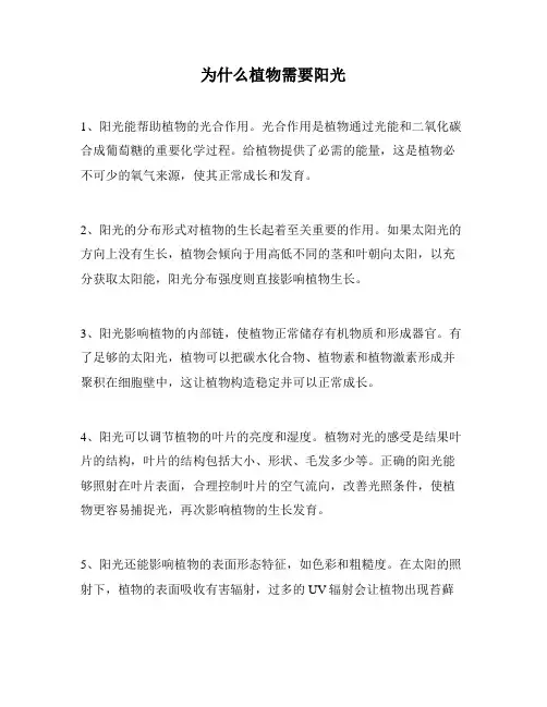 为什么植物需要阳光