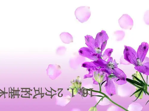 华师大版八年级数学下册第十六章《分式的基本性质2》优质课课件