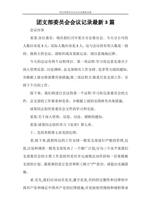 团支部委员会会议记录最新3篇