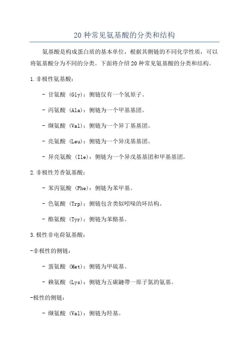 20种常见氨基酸的分类和结构
