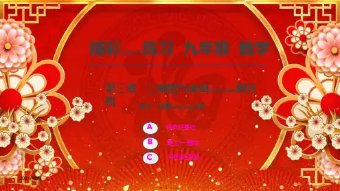 九年级数学下册 第三章 三视图与表面展开图 3.1 投影(2)课件