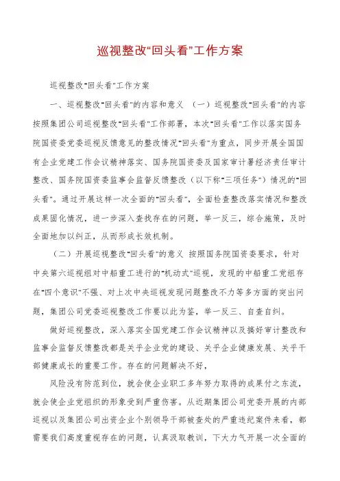 巡视整改“回头看”工作方案