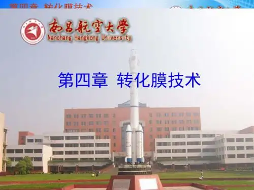 表面处理技术概论第4章转化膜技术