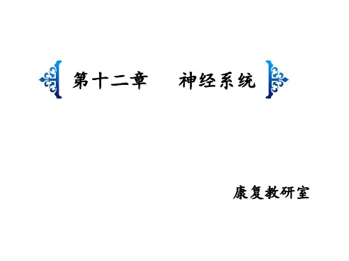 神经系统解剖ppt课件