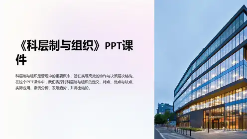 《科层制与组织》课件