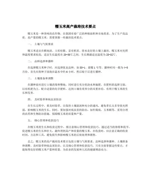 糯玉米高产栽培技术要点
